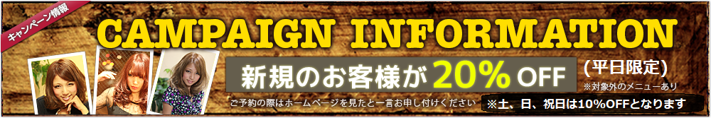 CAMPAIGN INFORMATION